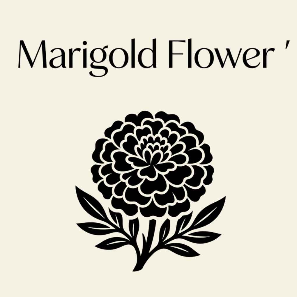 Marigold Flower
