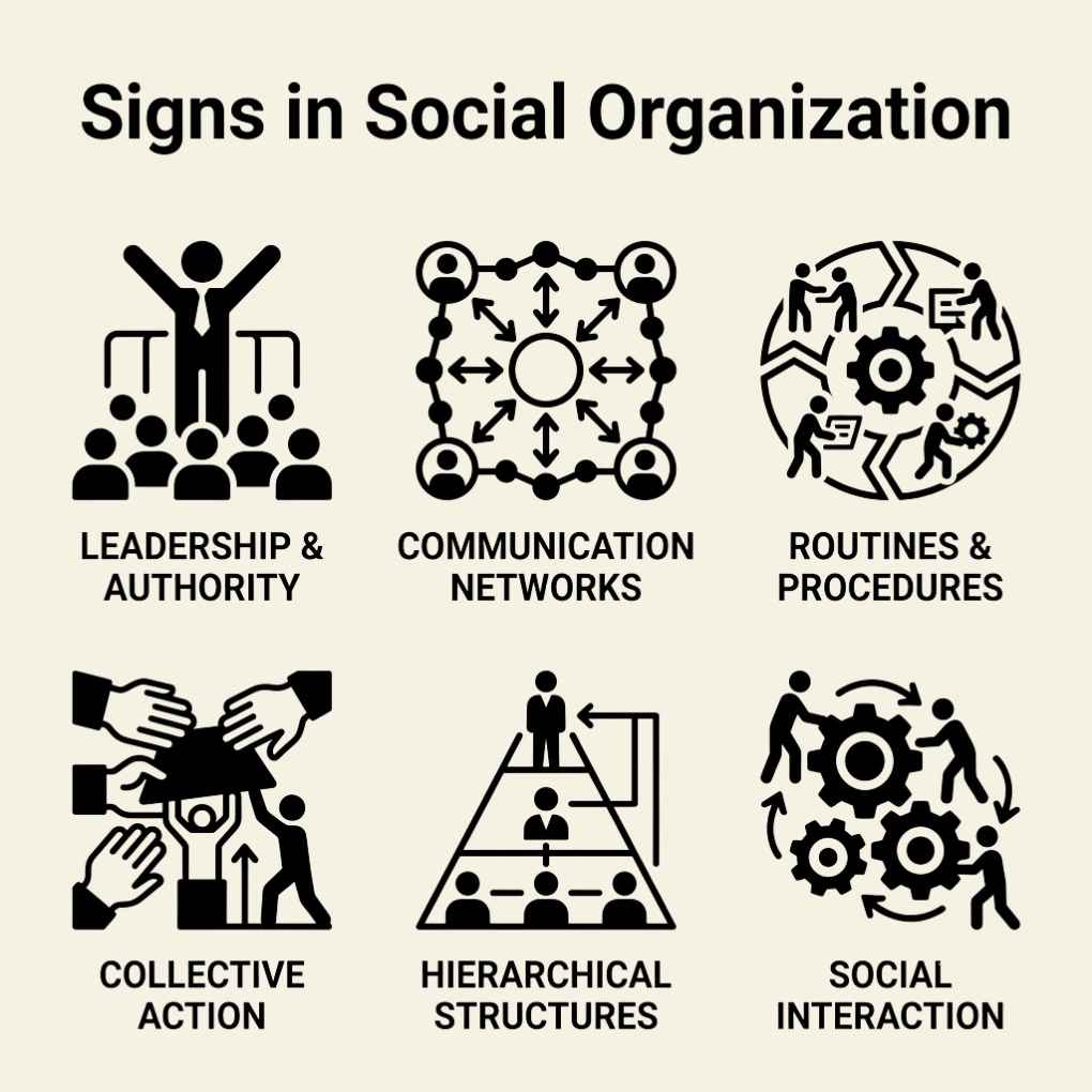 Signs in Social Organization