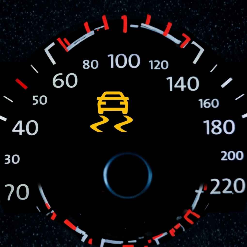 Traction Control Light
